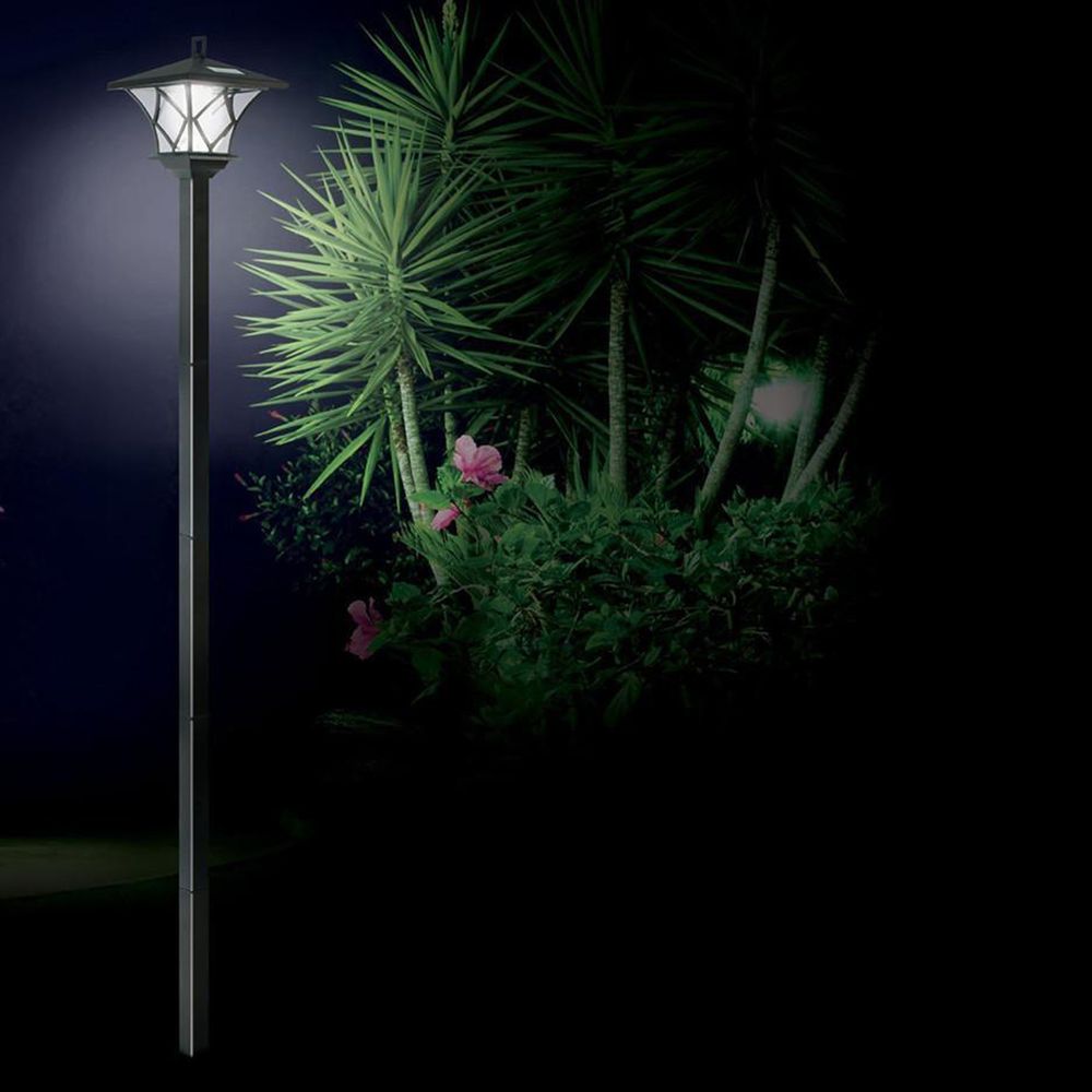 Schwarze Lampe mit Dämmerungssensor, beleuchtet Garten mit Palmlilien bei Nacht.