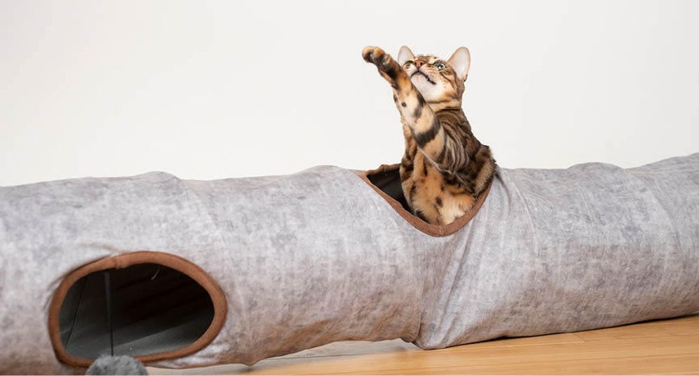 KaraLuna Katzentunnel 120 x 24 cm I 3 Gucklöcher & Spielbälle I Katzen Spieltunnel Faltbar Katzenspielzeug Katzen Tunnel Rascheltunnel Höhle Katze