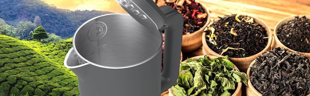Balter Wasserkocher Edelstahl 1,7L, 2200W, BPA-frei, LED-Beleuchtung, Doppelwand, Teekessel mit Abschaltautomatik, Trockenlaufschutz, Grau
