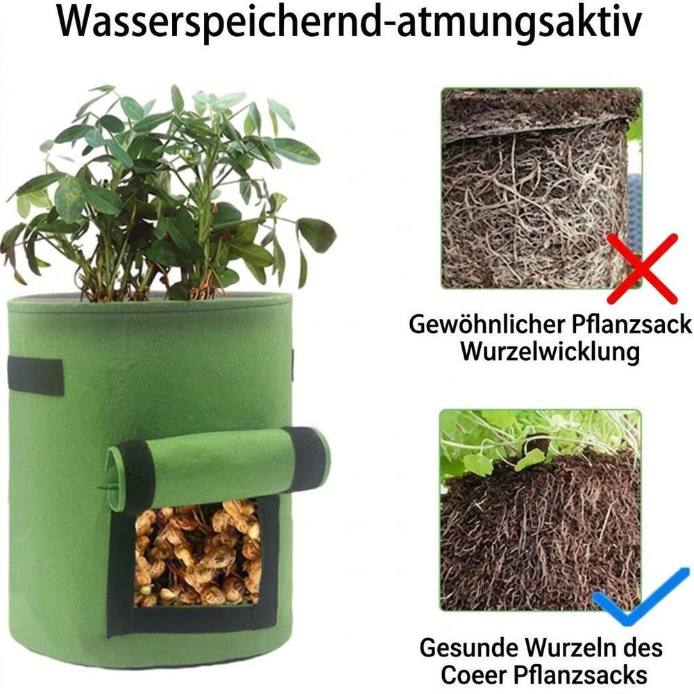 Optimale Bedingungen für gesunde Pflanzen und reiche Ernte