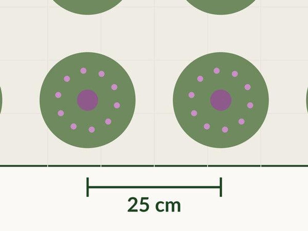 Zwei Polster mit eingezeichneter Maßlinie 25 cm