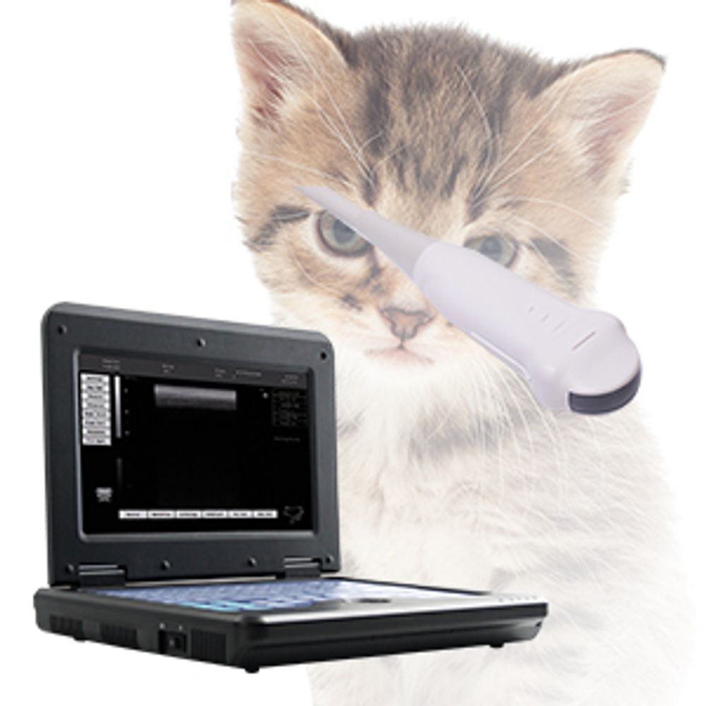 Veterinär-Ultraschallgerät B-Ultraschallgerät für Hunde und Katzen Tragbarer 10,1-Zoll-Laptop Mikrokonvexe Sonde CMS600P2VET