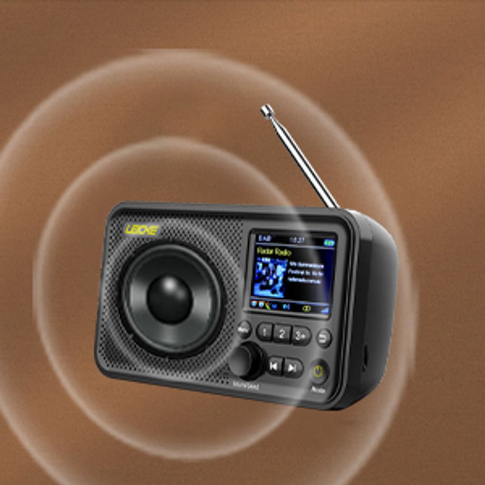 LEICKE tragbares DAB+ Radio mit Bluetooth 5.0 |UKW Radio, 2,4" Farbdisplay, 80 Voreinstellungen, Küchenradio mit Adapter und 4000mAh Akku, MicroSD/TF.