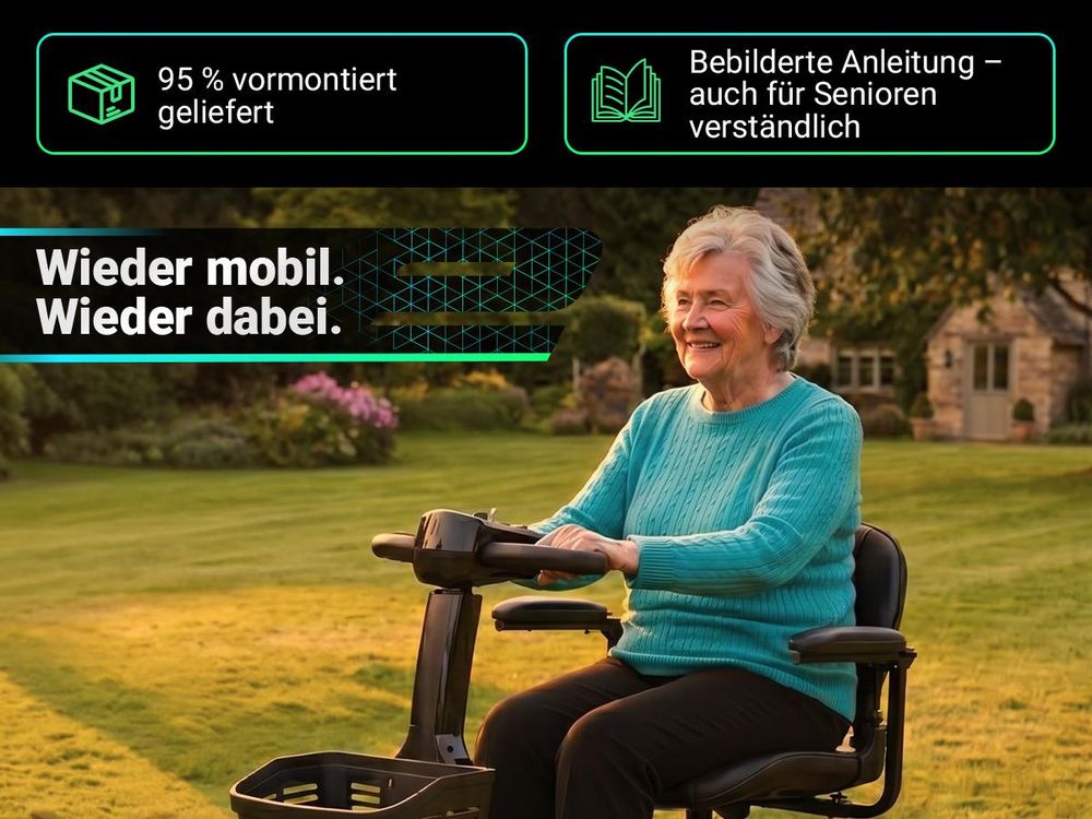 eFlux Mobility M1 Elektromobil | Elektro Senioren Roller - E-Scooter - Tiefeneinstieg - Schwenksitz - Einhand Steuerung - Klappbar - 20 km (Schwarz)