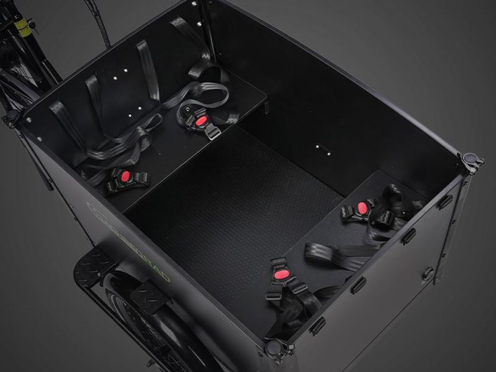 SachsenRAD E-Lastenrad T1, Flexible Transportbox mit Versteckter, LCD Display und StVZO-Zugelassung für Kindertransport, Shimano 7-Gang-Schaltung