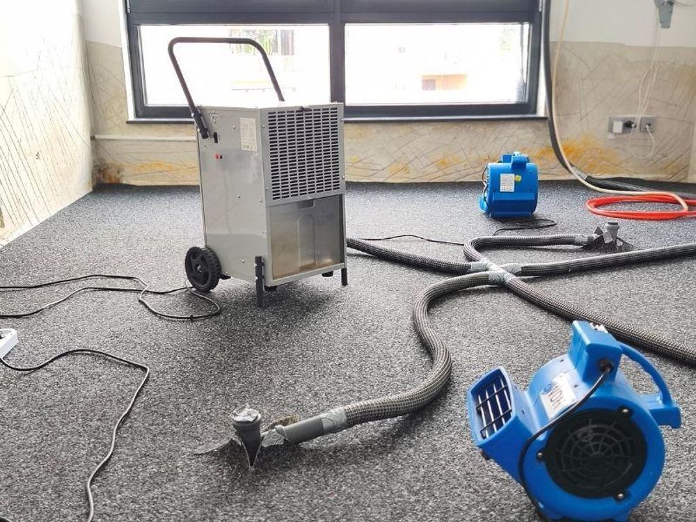 Turbolüfter WDH-C20 mit 420 m³/h Luftumwälzung und 3 Luftwinkelstellungen, Böden und Teppich Trocknung