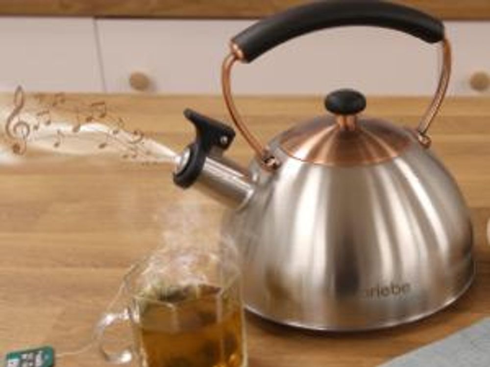 Briebe I-Bronze Wasserkessel Induktion Flötenkessel 2,3L Edelstahl, Retro, Bakelit Handgriff Inox/ Bronze