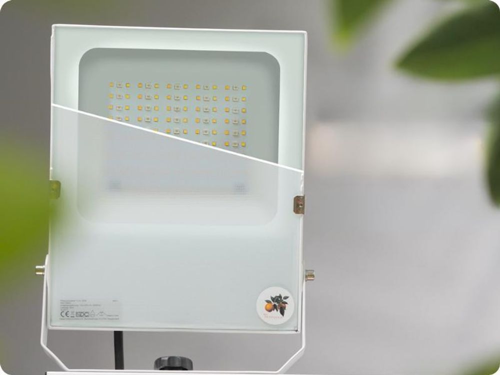 Meine Orangerie - LED Pflanzenlampe zur Überwinterung von mediterranen Pflanzen - Entwickelt mit den Zitruspflanzen-Profis von Meine Orangerie - Vollspektrum Pflanzenlicht [20W]