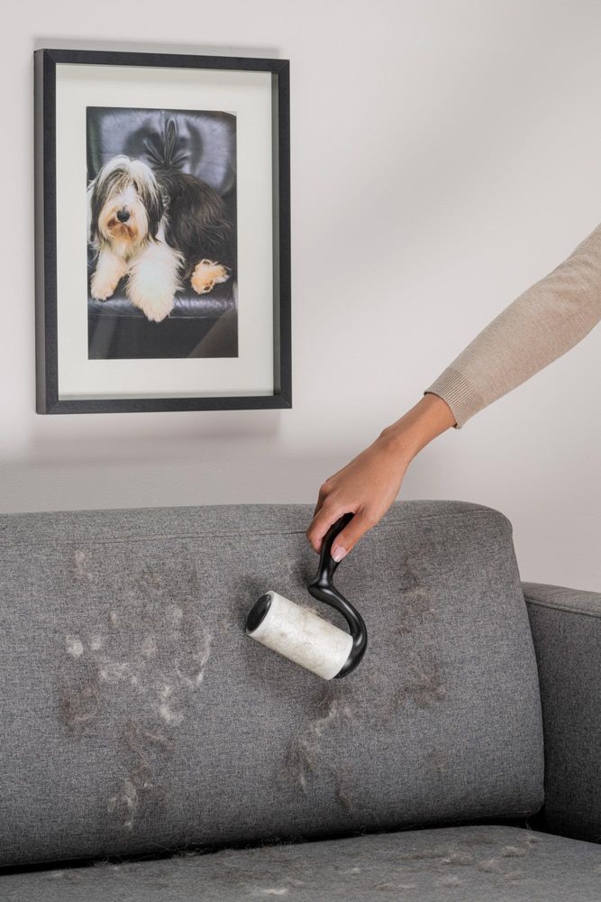Scotch-Brite™ Pet Extra Sticky Roller + 4 Nachfüllrollen Tierhaare