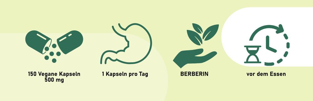 BOOS LABS Berberin I 500mg I 150 vegane Kapseln I Berberin Kapseln Hochdosiert, Berberine