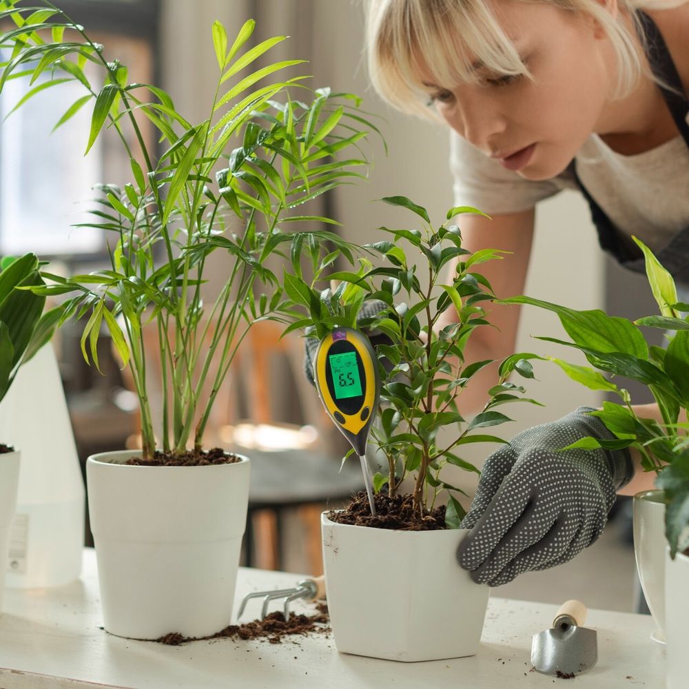 Feuchtigkeitsmesser Pflanzen Messgerät PH Meter Feuchtigkeitsmessgerät Bauernhof Boden Bodentester Garten Rasen Temperatur Wert Tester Bauernhof Retoo