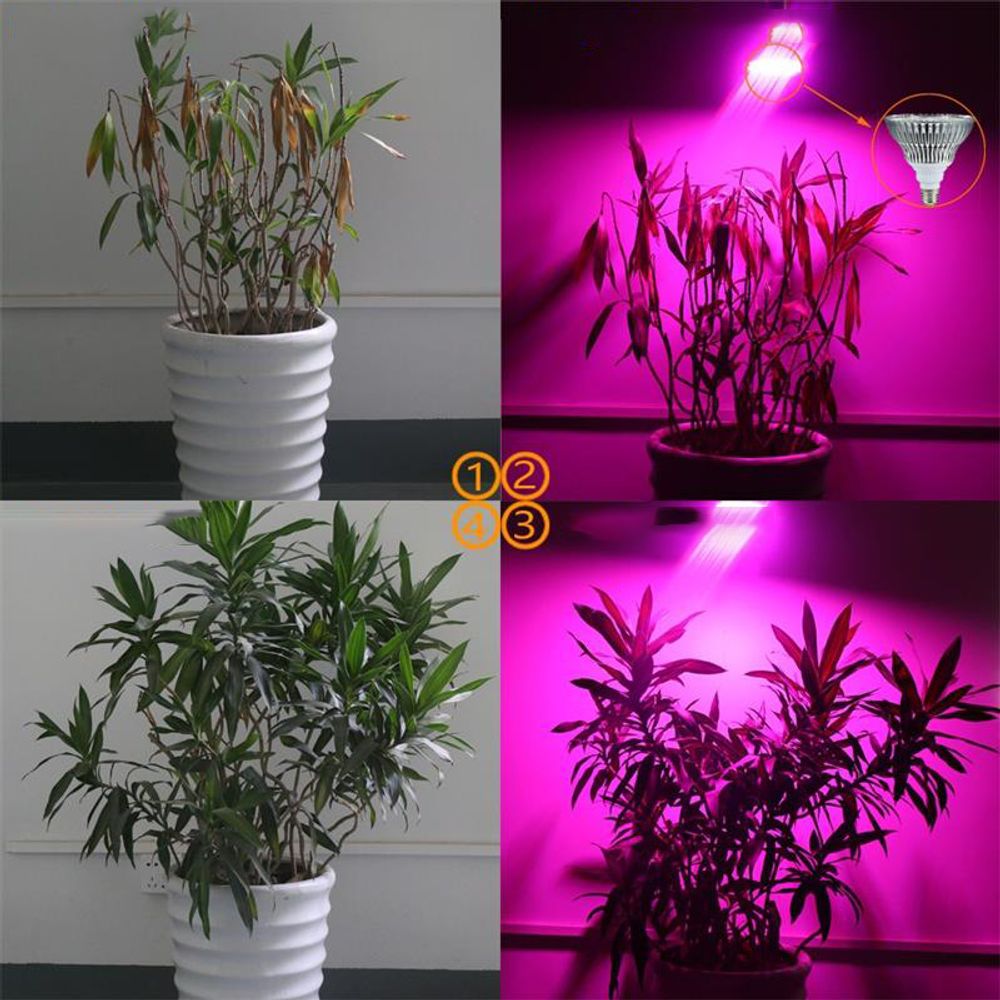 Pflanzenlampe LED Pflanzen Leuchte 20W 200LED Zimmerpflanzen Gemüse Pflanzenlicht Grow Lampe Vollspektrum Pflanzenleuchte Wachstumslampe Retoo