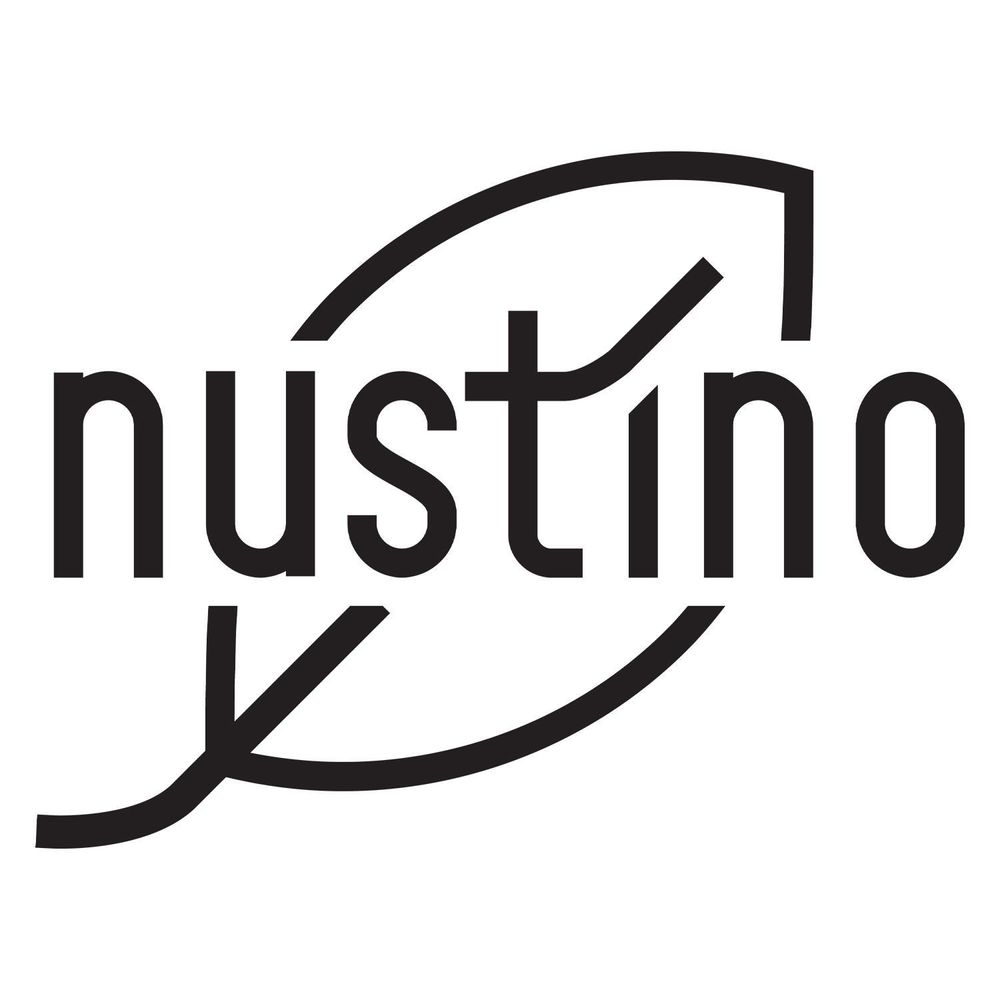 Nustino - Erdnussbutter Pulver Pure 400g - 100% Erdnüsse, 90% Weniger Fett - Reich an Protein - Ohne Zucker - Fettarm - Ohne Palmöl