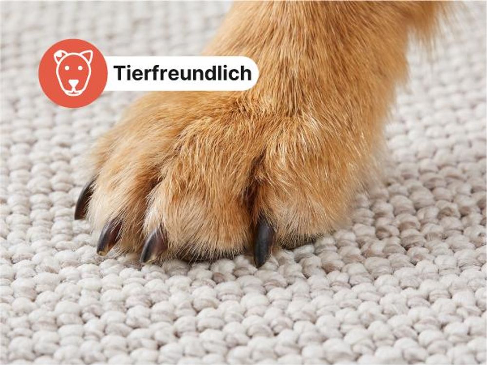 Tapiso Teppich AGRA modern beige Wohnzimmer  240 x 340 cm