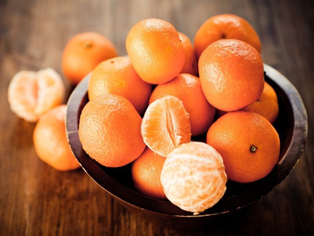 Meine Orangerie Clementinenbaum Mezzo - süße Clementine - echter Citrusbaum - fruchtreifes Bäumchen für Garten, Balkon oder Terrasse
