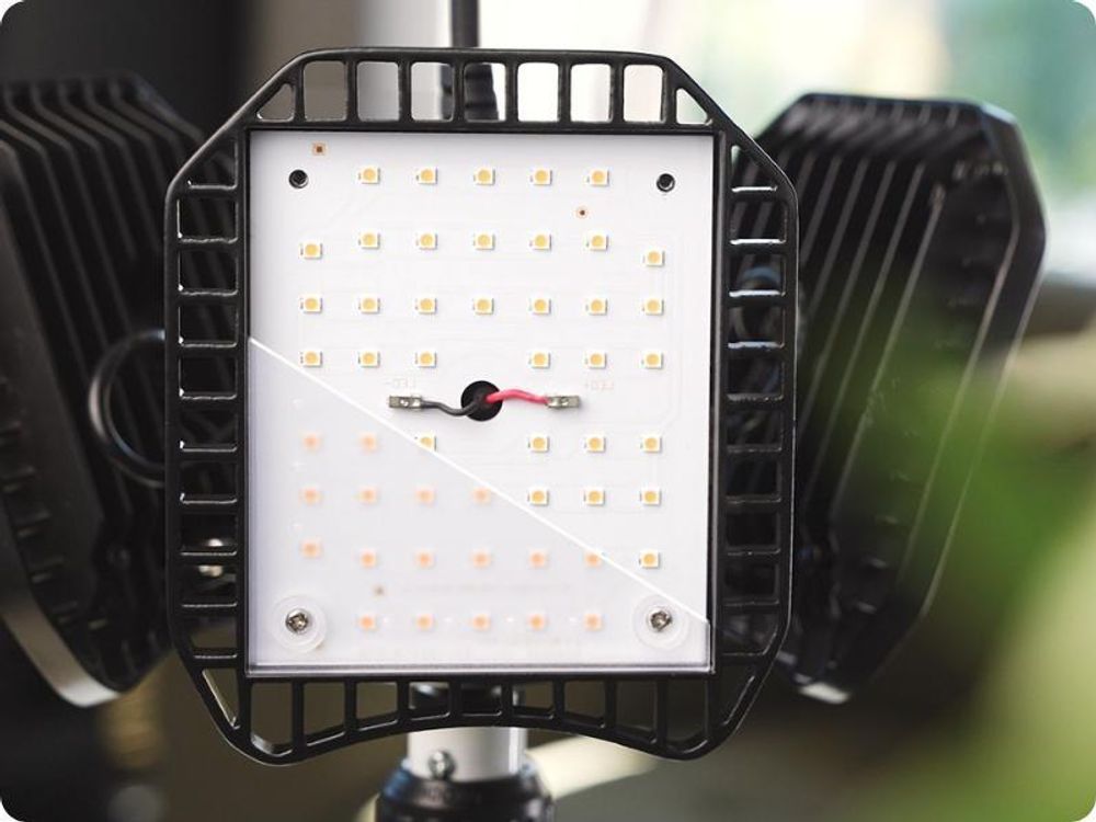Meine Orangerie - LED-Pflanzenlampe FLEX [100W] - Vollspektrum LED Pflanzenleuchte zur Überwinterung von mediterranen Pflanzen