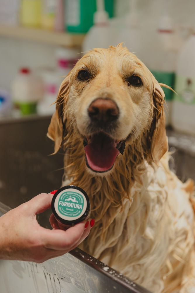 Natürliche Zahnpasta für Hunde mit Kaolin, Kokosöl und Kräutern.