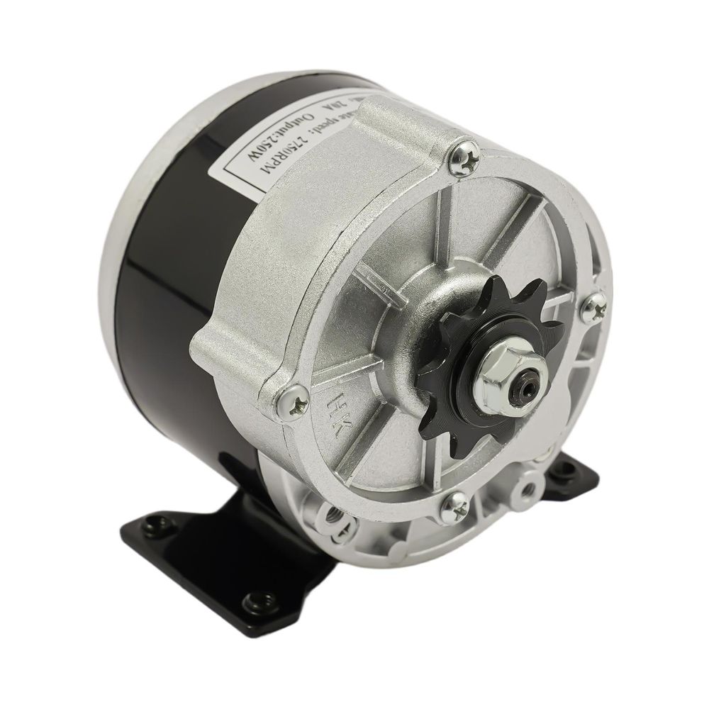 Elektromotor mit Getriebeuntersetzung, Elektrofahrradmotor mit Bürsten, DC-Motor mit Bürsten