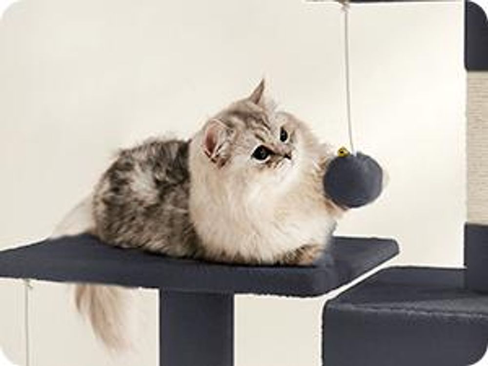 FEANDREA Kratzbaum, 143 cm, Katzenbaum mit Hängematte, rauchgrau PCT161G01