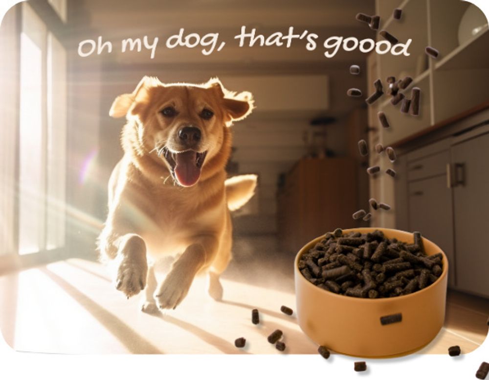Gepresstes Hundefutter mit Lachs – hypoallergenes Trockenfutter
