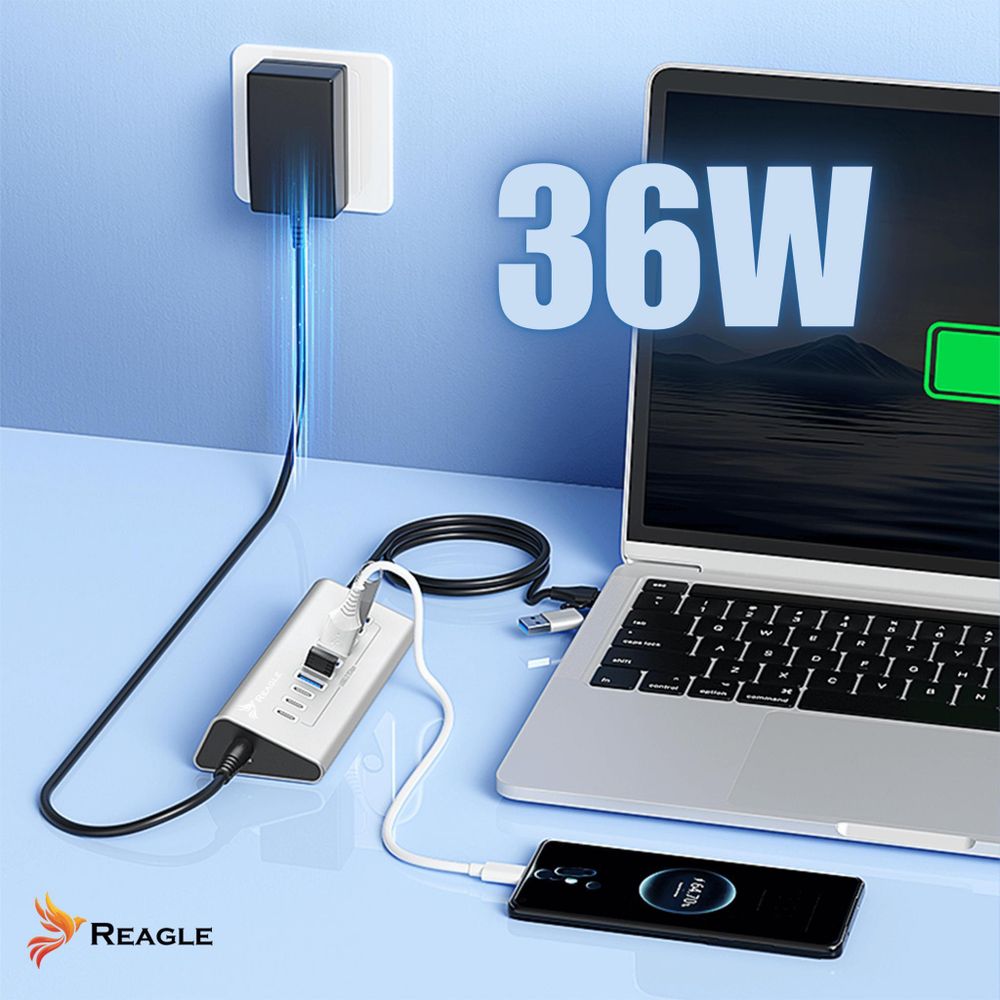 Aktiver USB 3.2 Hub 10in1 mit 36W Netzteil USB C und USB A Splitter 5Gbps Datenübertragung für Desktop Laptop Dockingstation Reagle Aluminium