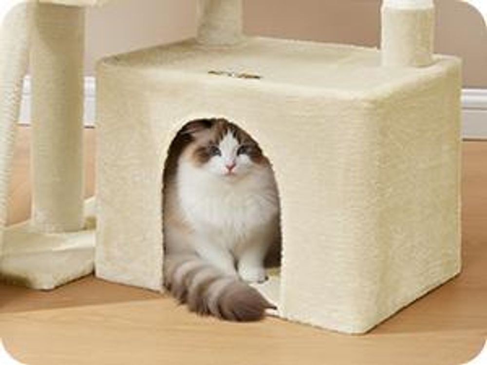 Feandrea Kratzbaum klein, Katzenbaum mit Kratzrampe und großer Plattform, Katzenkratzbaum mit Höhle, 44,6 cm hoch, taubengrau
