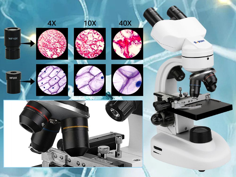 Mikroskop dwuokularowy Svbony, 80X-1600X dla dzieci, studentów, dorosłych, z okularami WF10x WF20x, profesjonalny mikroskop do laboratorium szkolnego, domowej edukacji biologicznej