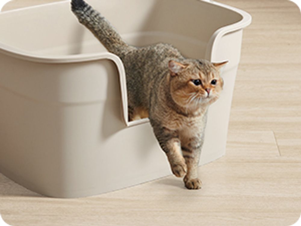 Feandrea extragroße Katzentoilette, für große Katzen, mit hohen Seitenwänden, cappuccinobeige