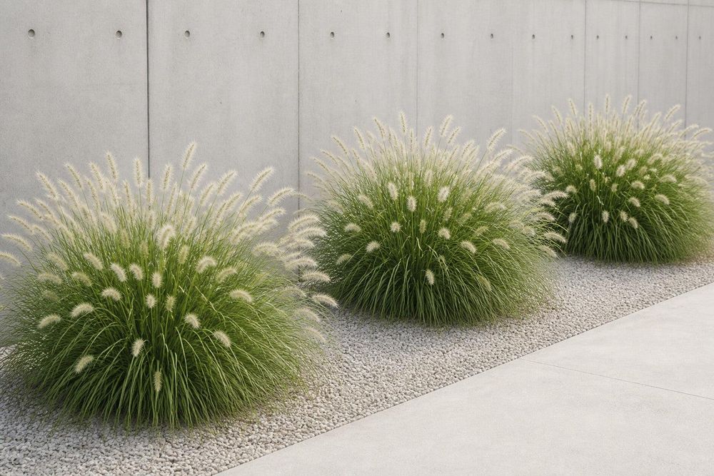 Minimalistischer Kiesgarten: drei Horste im Rhythmus vor Sichtbeton, klare Geometrie.
