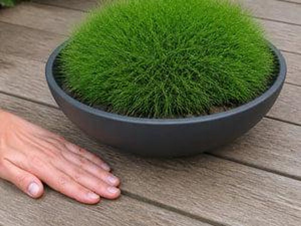 Flache anthrazitfarbene Schale mit einzelnem Kissen auf Holzterrasse, Hand als Massstab daneben.