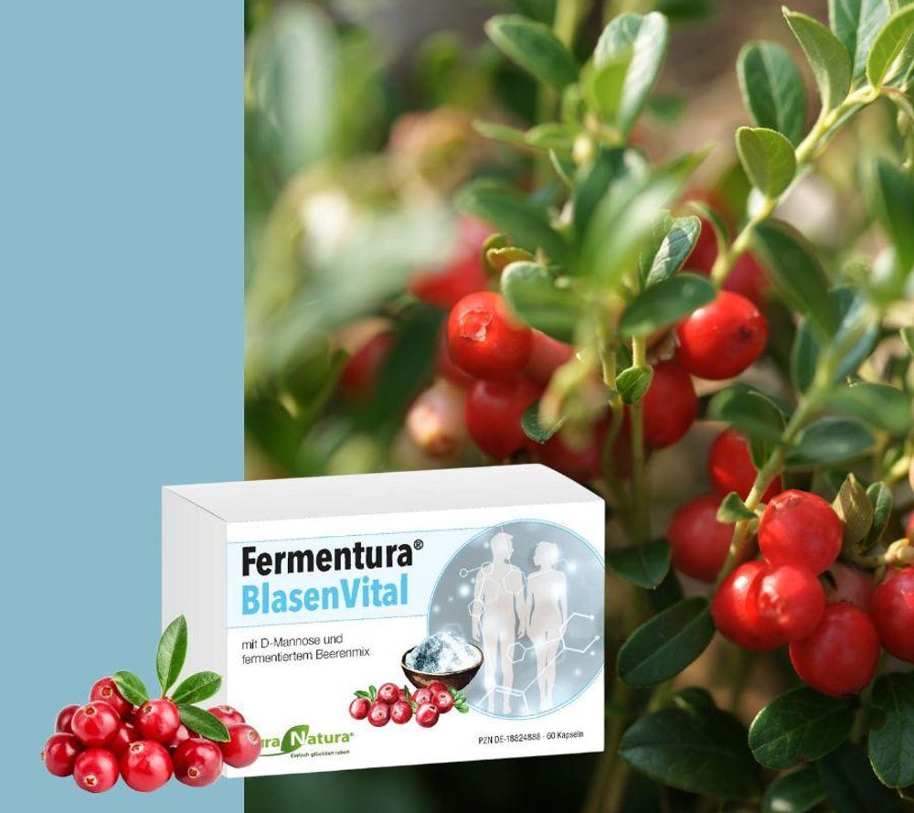 Aura Natura Fermentura Blasenvital - mit D-Mannose, Cranberry-Extrakt - 60 vegane Kapseln