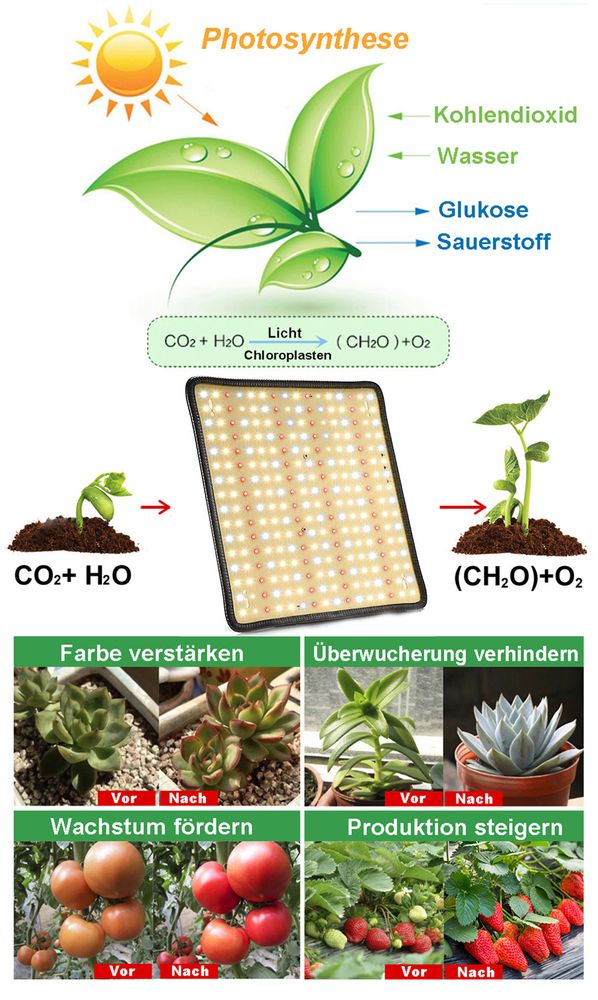 LED Pflanzenlampe Vollspektrum, Wachstumslampe 256 LEDs(rot,blau,warmweiß), Pflanzenlicht Grow Lampe für Zimmerpflanzen Gewächshaus Blumen
