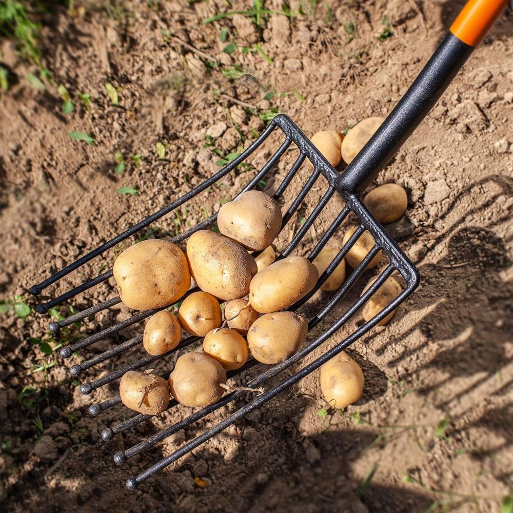 KADAX Kartoffelgabel mit langem Stiel, Steingabel aus robustem Stahl, Forke mit D-Griff, Spatengabel