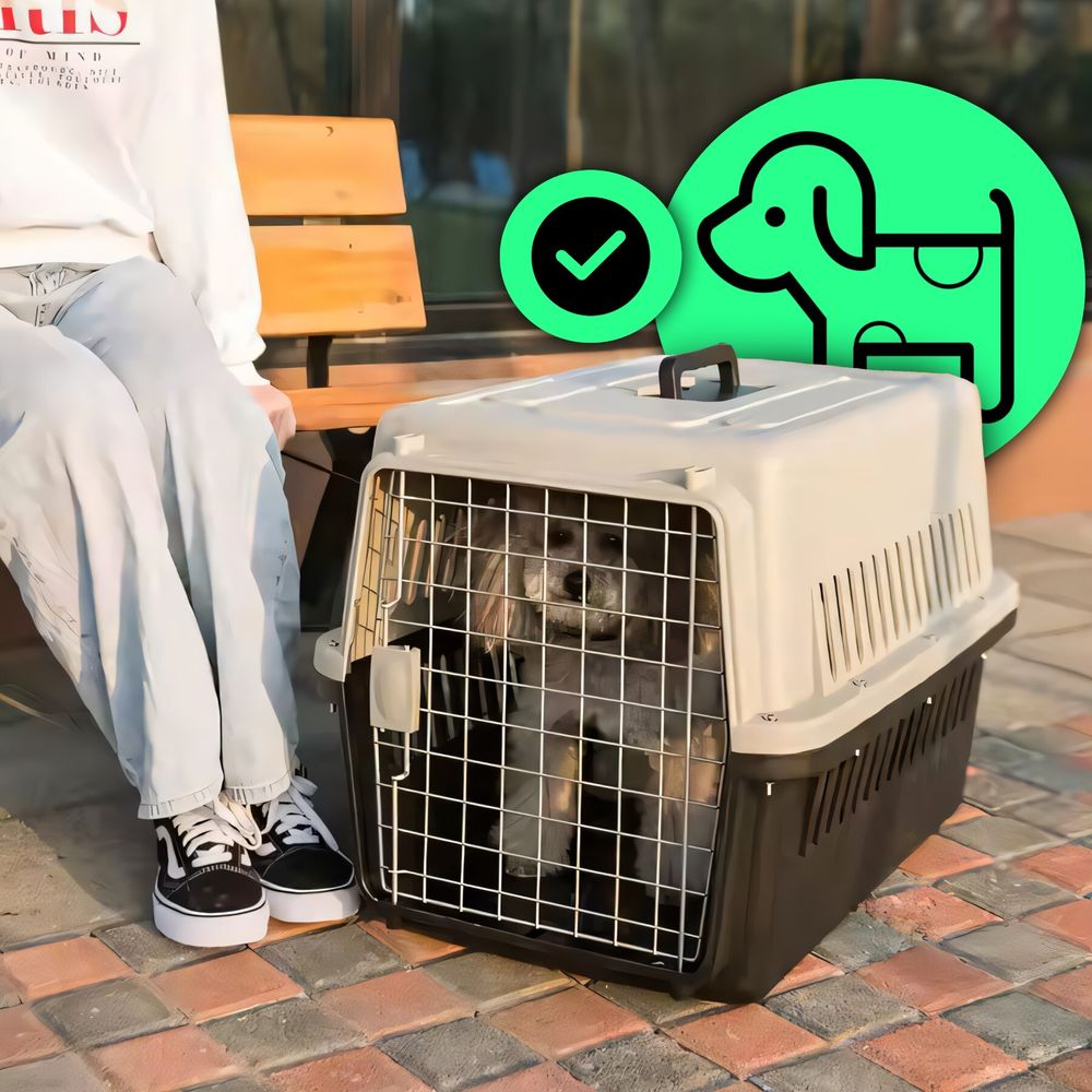 Hundebox Auto Rückbank Transportbox Katze Katzentransportbox Transportbox Kaninchen Katzenkorb Transport Hundetransportbox Reisebox Grau Retoo