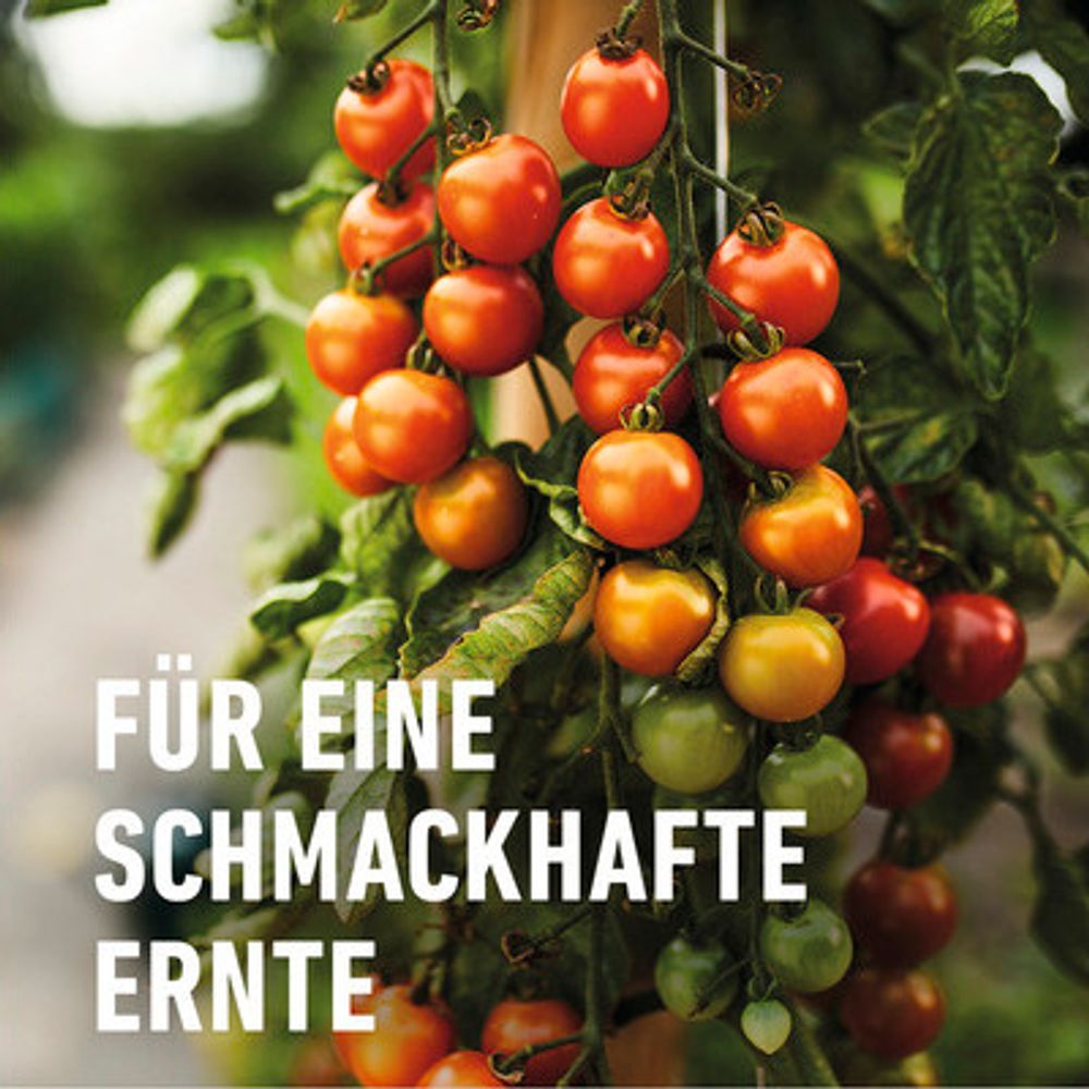 COMPO  Obst- und Gemüsedünger 2,5 Liter