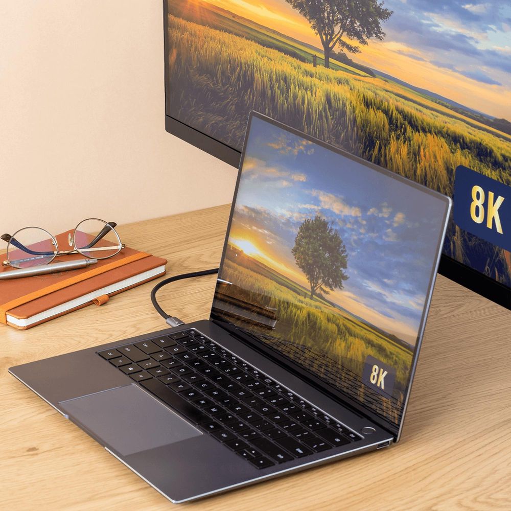 Kabel USB C DisplayPort 8K 4K 144Hz 1,8M Reagle USB-C USB Typ C Stecker auf DisplayPort Stecker