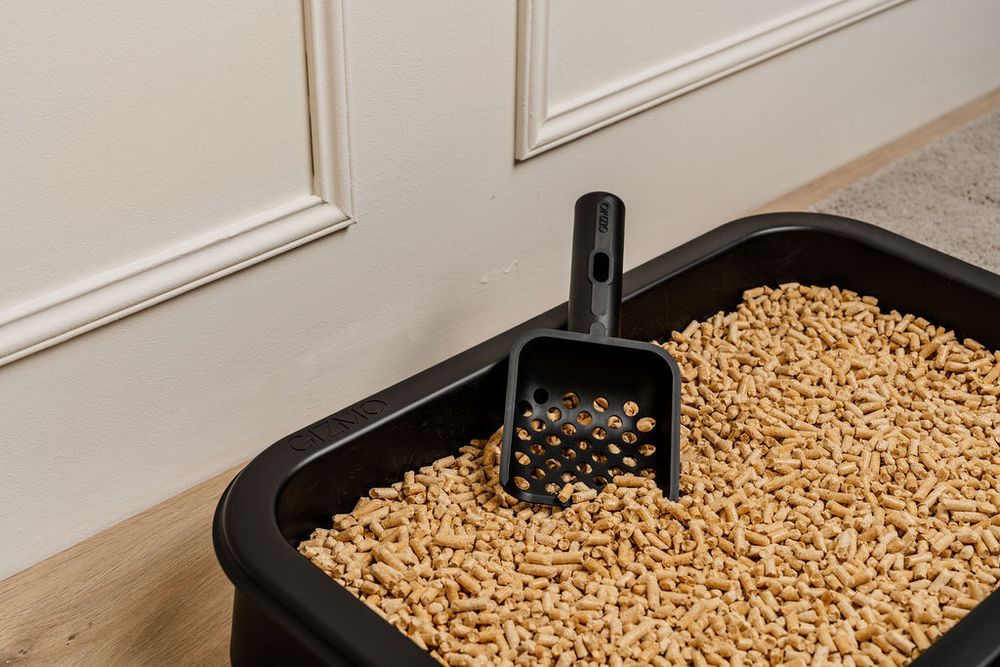 GIZMO Katzentoilette Deluxe, Katzenklo für Holzpaletten, Design Katzenklo - Weiß