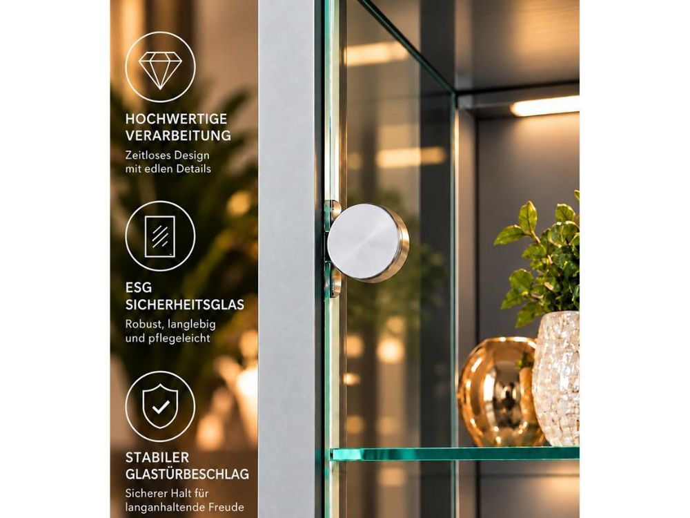 ESG-Sicherheitsglas und Glasbeschlag der AGIONDA Vitrine