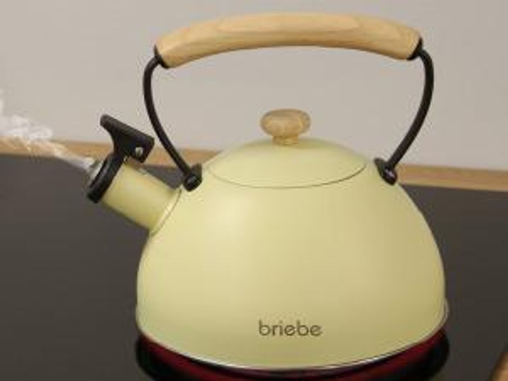 Briebe Pastel Wasserkessel Induktion Flötenkessel 2,3L Edelstahl, Retro Holzgriff Gelb