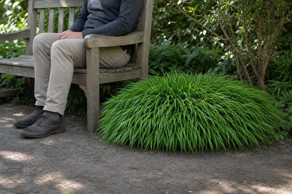 Horst neben Gartenbank mit sitzender Person (Empfehlung 3: Referenzobjekte).