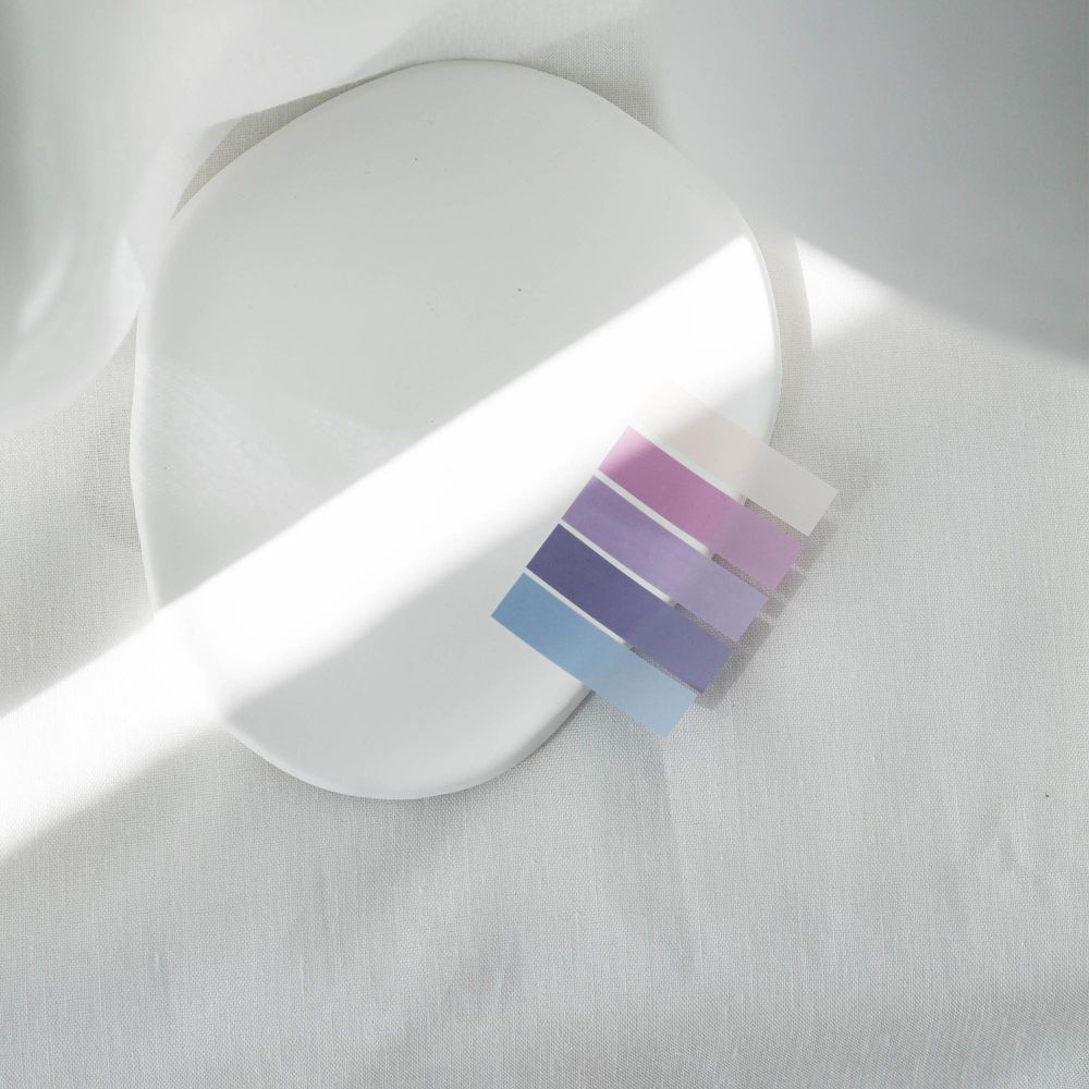 Ordinate-Lavender 200 Stück Haftnotizen Tabs, Gray Stile Pagemarker Selbstklebend Pastell Beschreibbare Haftstreifen Klebezettel mit Lineal