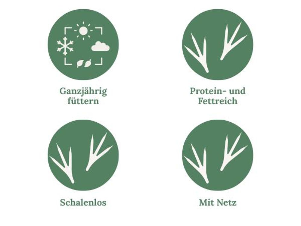 Stichpunkte und Icons