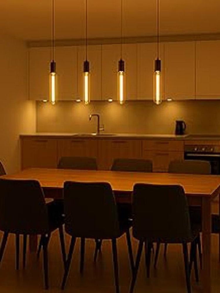 Das Bild zeigt ein Esszimmer mit dekorativen Röhrenleuchtmitell