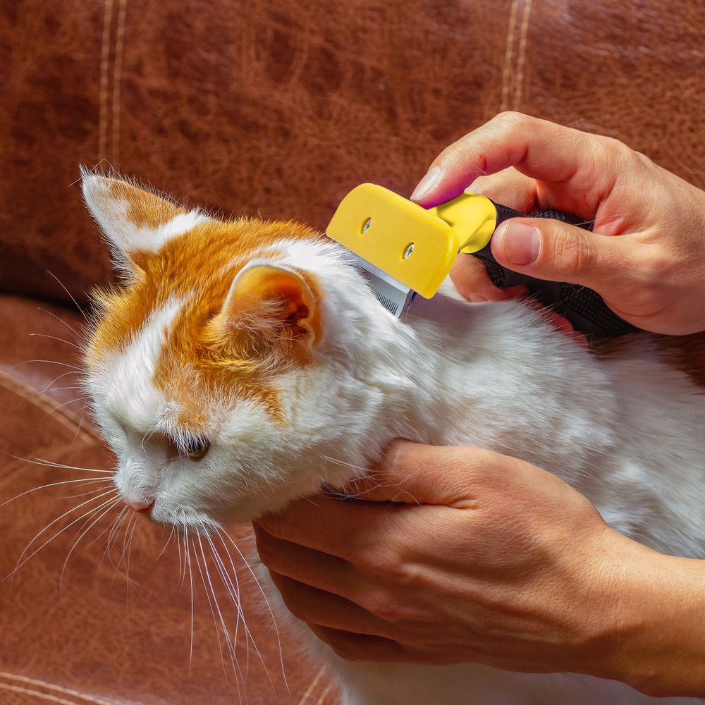 Fusselbürste Fusselrolle Tierhaarentferner Kleidung Fusselrasierer Fusselentferner Tierfell Tragbarer Clothes Fuzz Shaver Tierhaar Remover Retoo