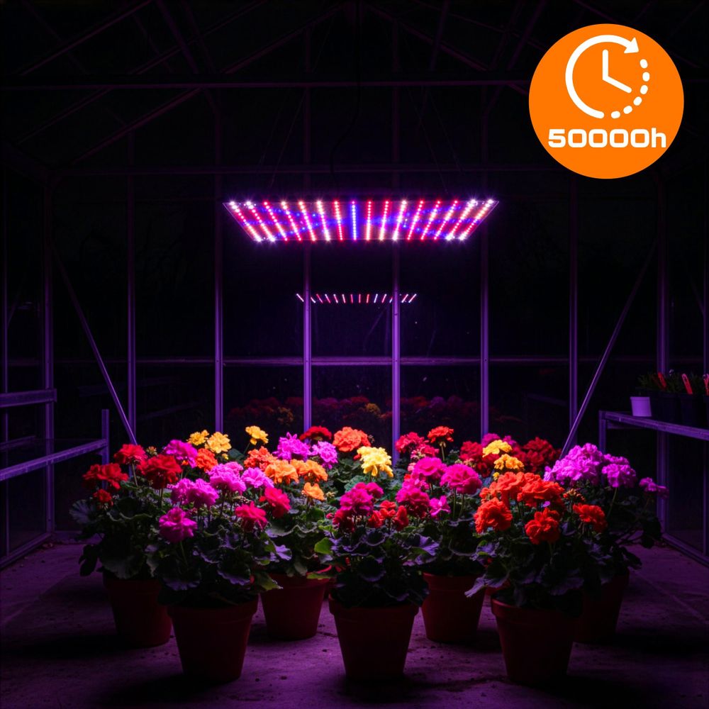 LED Pflanzenlampe 1000W Vollspektrum Panel, 225 LEDs Grow Light für Gemüse & Blumen, Ultra-Slim Pflanzenlicht 36W, EVI TECH UV LED Slim