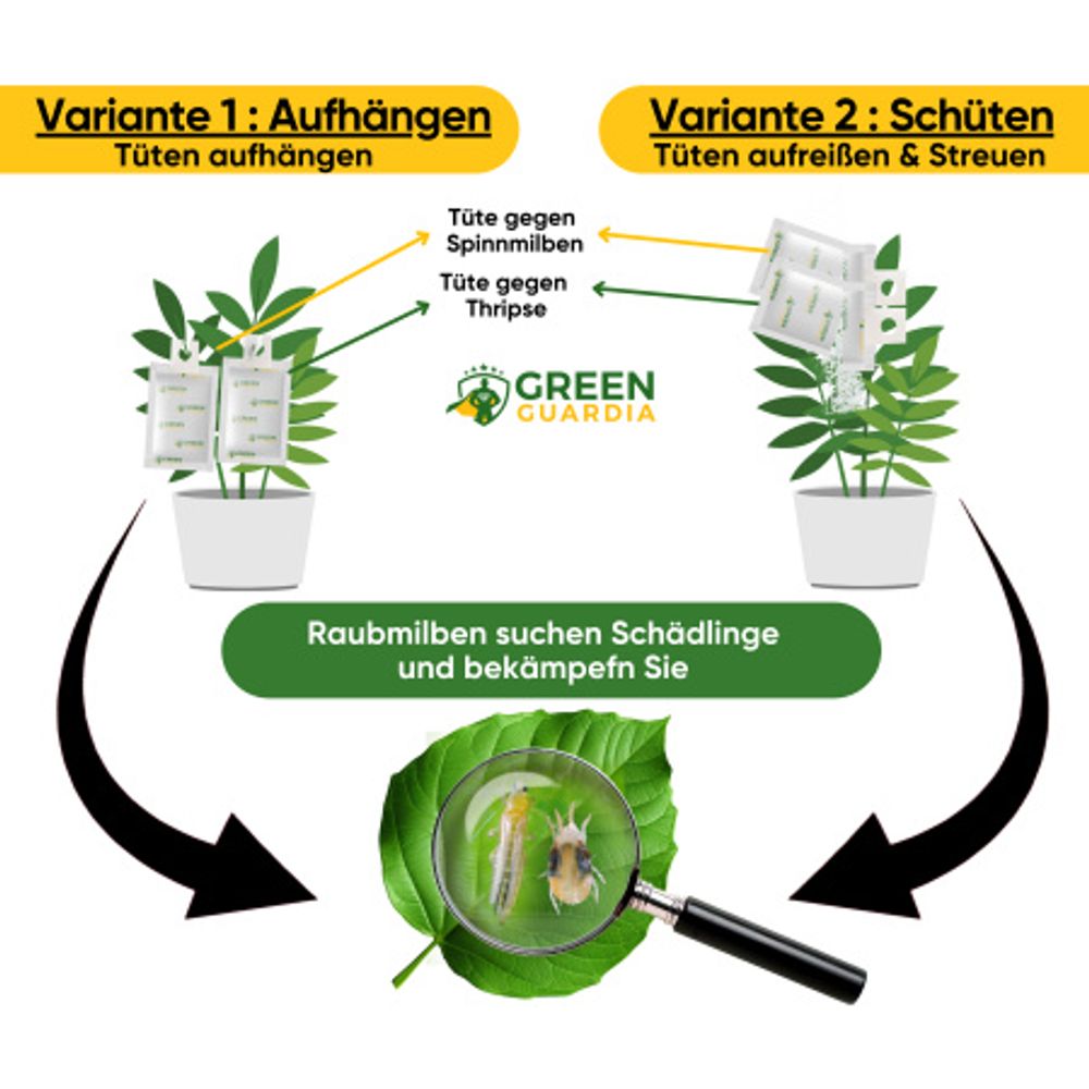 Power Raubmilben gegen Thripse und Spinnmilben, 3 Mix (6Tüten), Biologisches Mittel zur effektiven Thripse & Spinnmilben Bekämpfung – GREEN GUARDIA