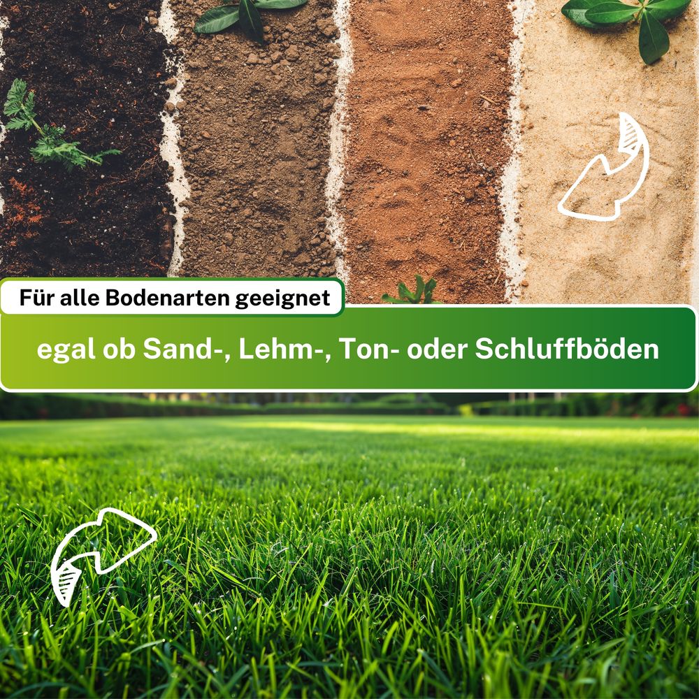 Greenyp® Super Rasen I sattgrüner Premium Zierrasen I 2,5kg für 100m² I Traumrasen Nachsaat Grassamen Rasensamen Rasensaat Gras schnellkeimend
