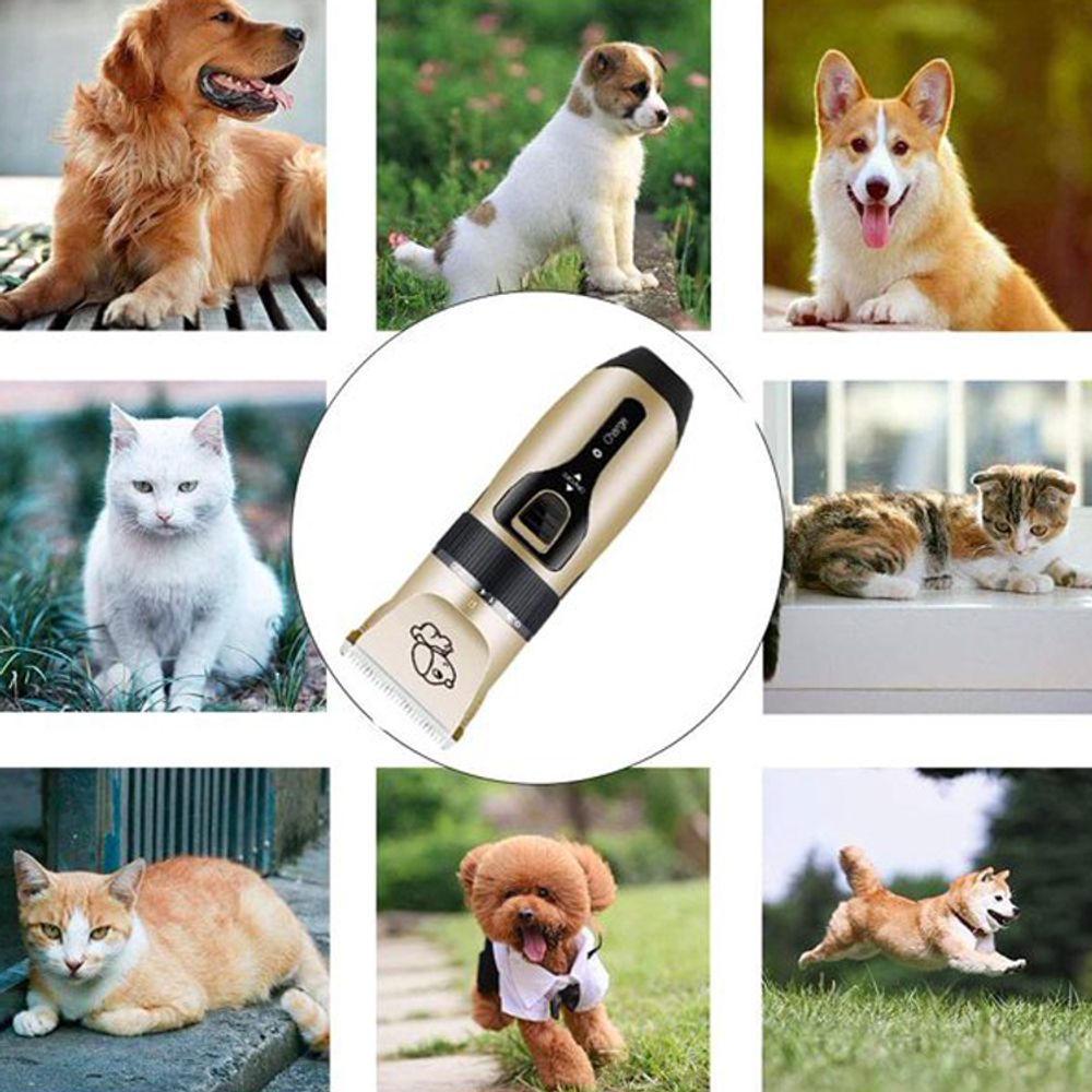 Profi Tierhaarschneider Set | 5 Längenstufe | Kabellose & Leise Hundeschermaschine mit LED-Anzeige, für Hunde & Katzen, Pfoten, Körper, Gesicht, Retoo