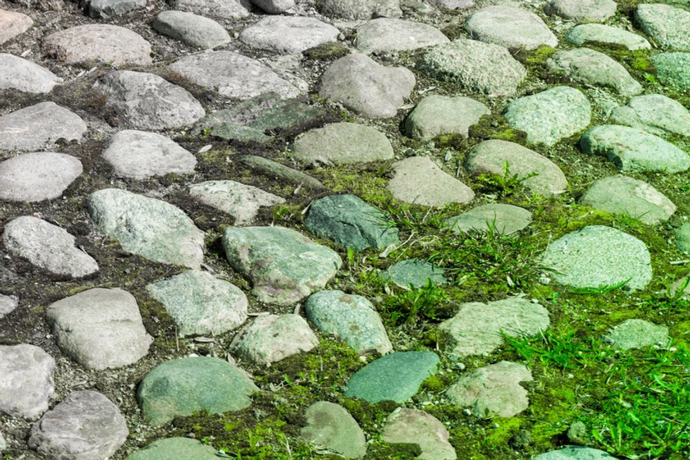 KaiserRein Profi Grünbelagentferner Moosentferner Algenentferner 5 L Kanister extrem ergiebiges Konzentrat 5 L ergibt 50 L (für bis zu 750 m²) Grünspan-Entferner, Terrasse, Fassade, Beton, Stein