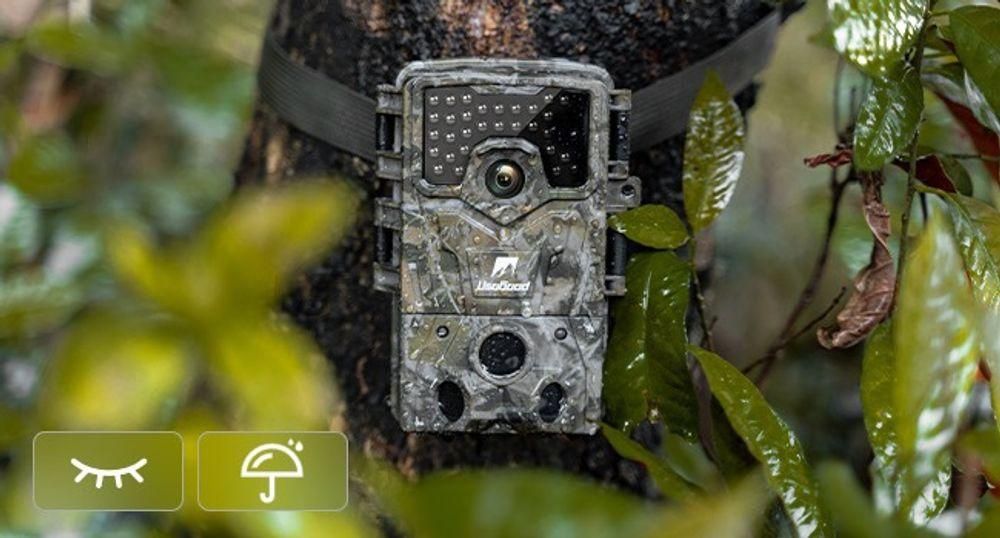 Wildkamera 36MP 4K Wasserdicht Tierkamera mit 32G Speicherkarte 120° Jagdkamera